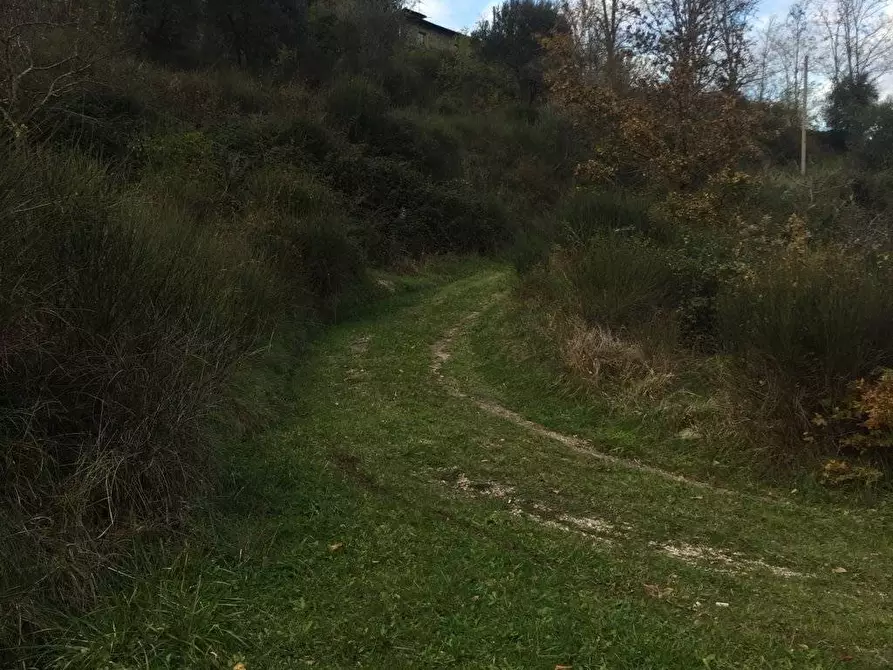 Immagine 34 di Rustico / casale in vendita  in località Spaliena 10 a Londa