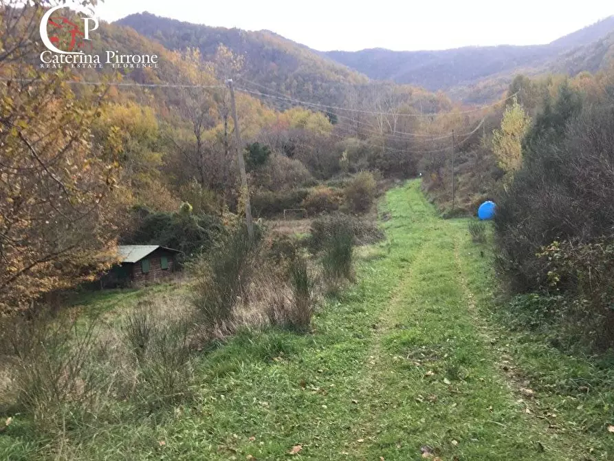 Immagine 35 di Rustico / casale in vendita  in località Spaliena 10 a Londa