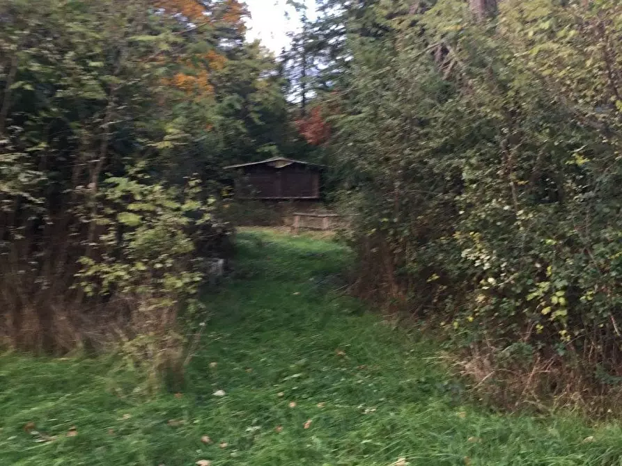 Immagine 36 di Rustico / casale in vendita  in località Spaliena 10 a Londa