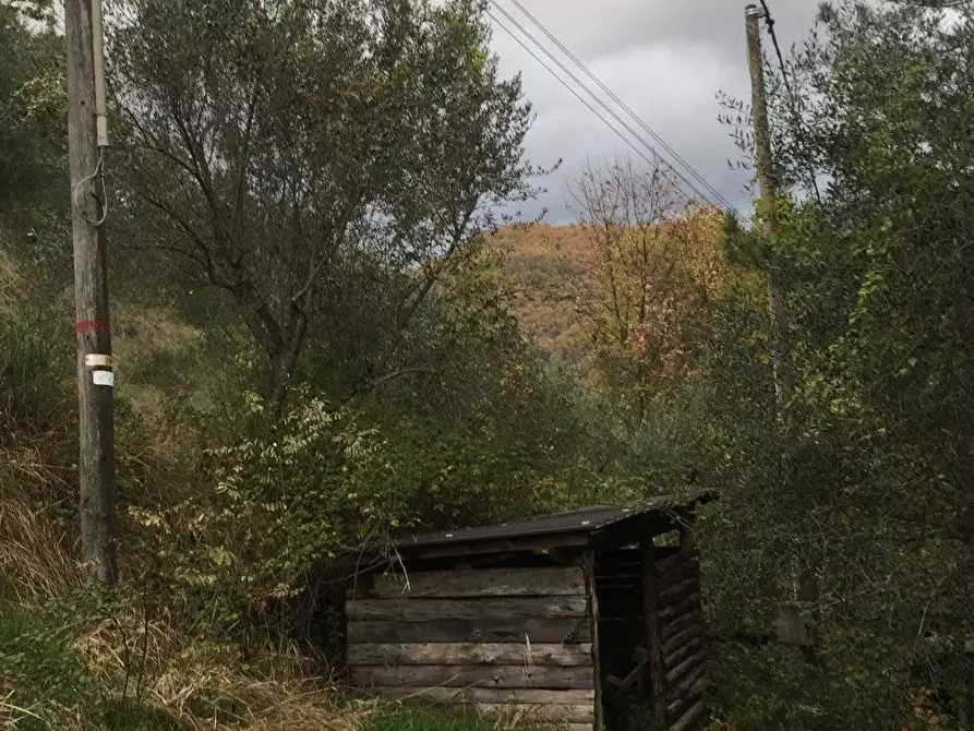 Immagine 39 di Rustico / casale in vendita  in località Spaliena 10 a Londa