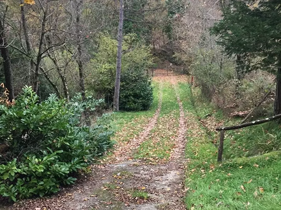 Immagine 40 di Rustico / casale in vendita  in località Spaliena 10 a Londa
