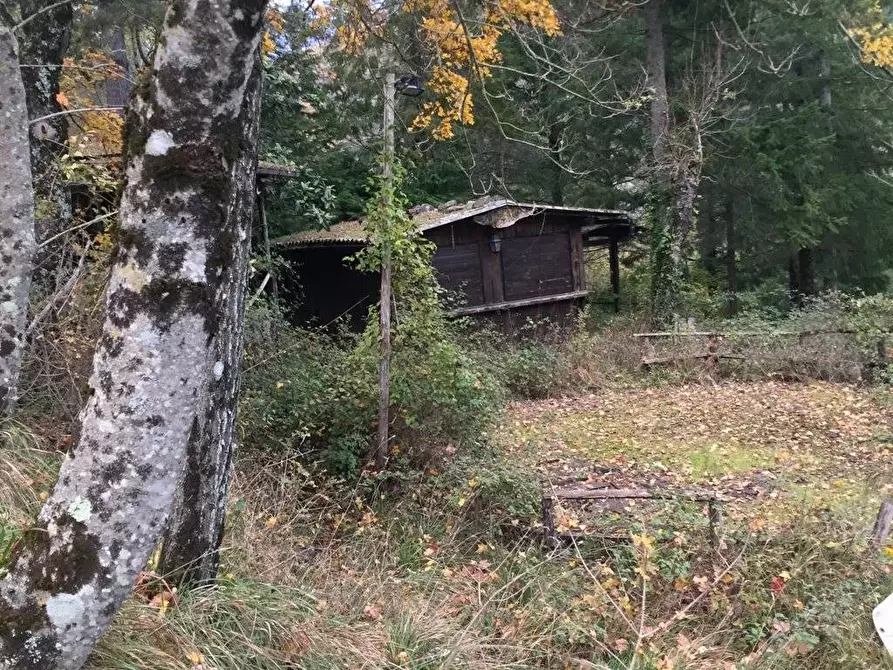 Immagine 41 di Rustico / casale in vendita  in località Spaliena 10 a Londa