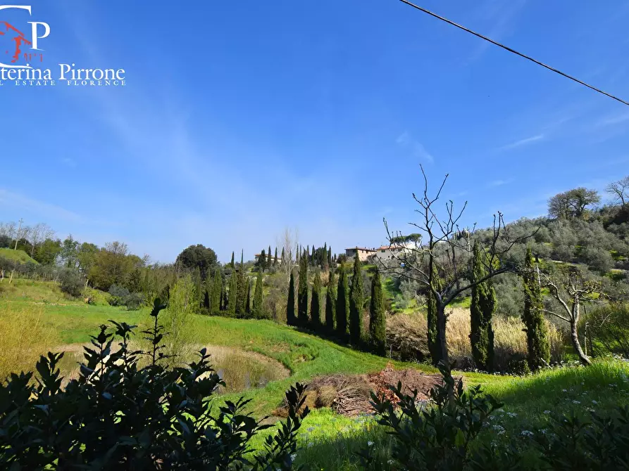 Immagine 5 di Terreno agricolo in vendita  in località Pagnana 1 a Rignano Sull'arno