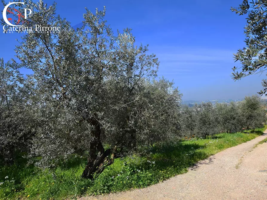 Immagine 2 di Terreno agricolo in vendita  in località Pagnana 1 a Rignano Sull'arno