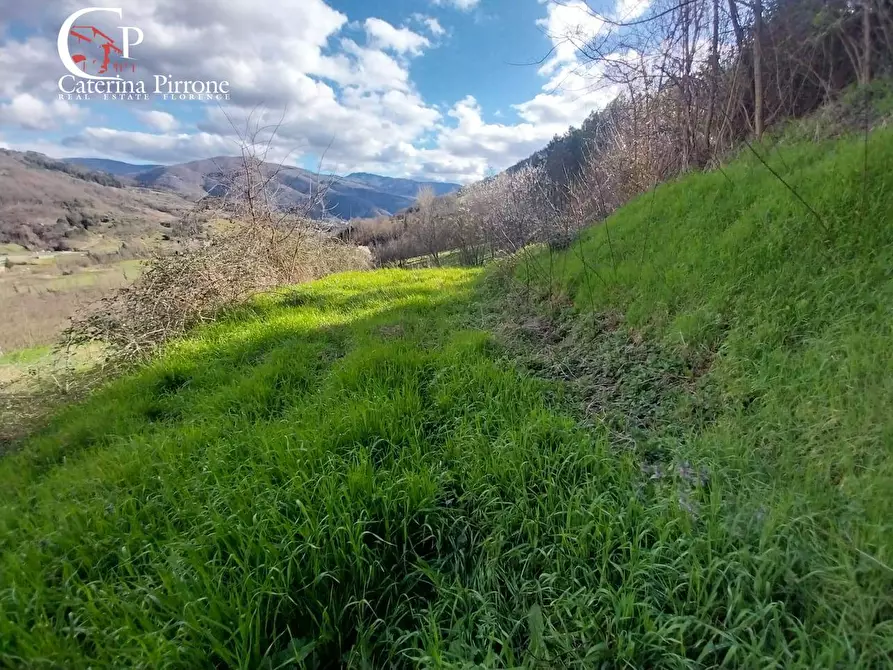 Immagine 5 di Rustico / casale in vendita  in via Celle 50 a Dicomano