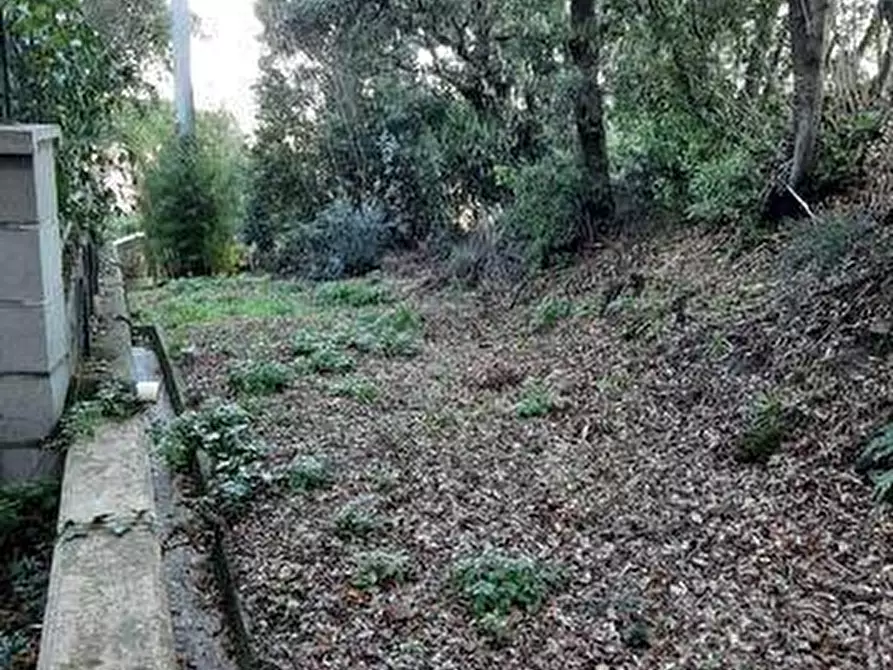 Immagine 11 di Appartamento in vendita  in via Fontanella 2 a Castagneto Carducci