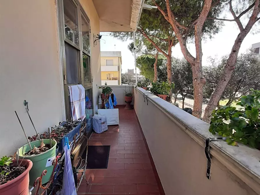 Immagine 17 di Appartamento in vendita  in via 20 Giugno 1944 10 a Rosignano Marittimo