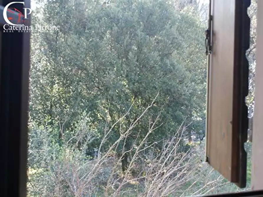 Immagine 41 di Rustico / casale in vendita  in Via di Fonte Marina 10 a Casale Marittimo