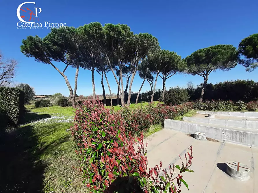 Immagine 3 di Casa indipendente in vendita  in via Metauro 10 a Cecina