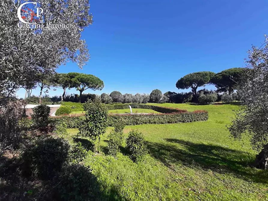 Immagine 6 di Casa indipendente in vendita  in via Metauro 10 a Cecina
