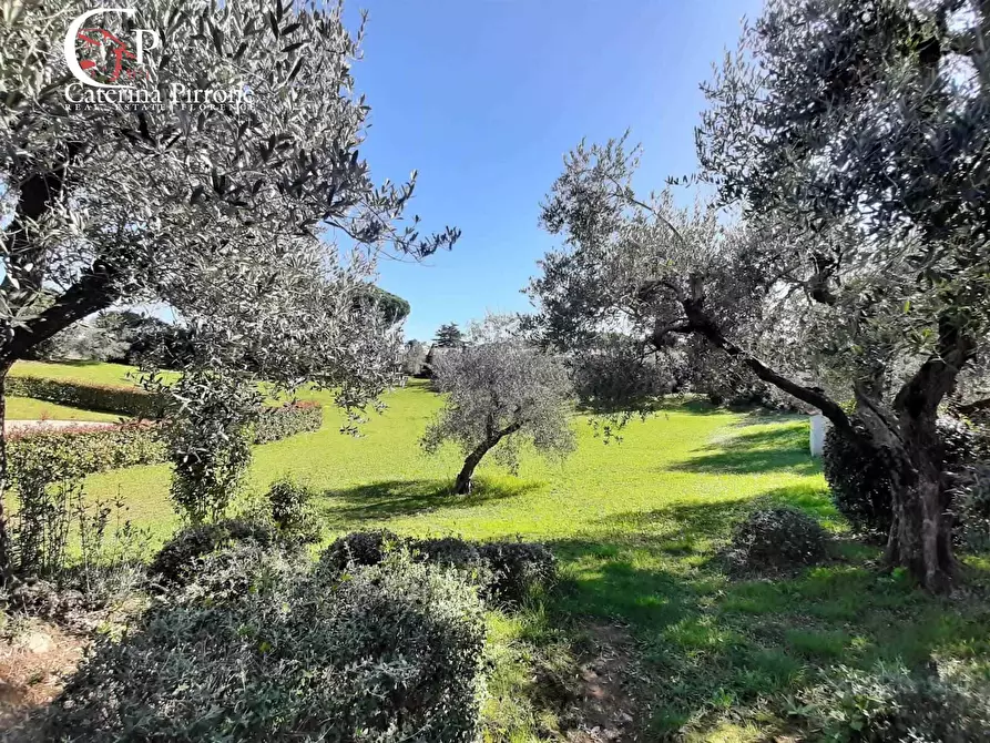 Immagine 7 di Casa indipendente in vendita  in via Metauro 10 a Cecina