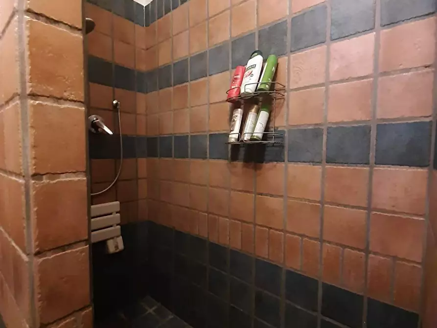 Immagine 36 di Casa indipendente in vendita  in via Metauro 10 a Cecina