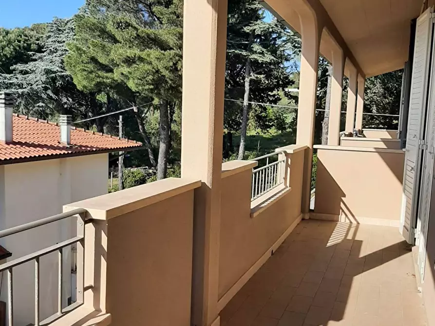 Immagine 19 di Appartamento in vendita  in località Cotone 10 a Rosignano Marittimo