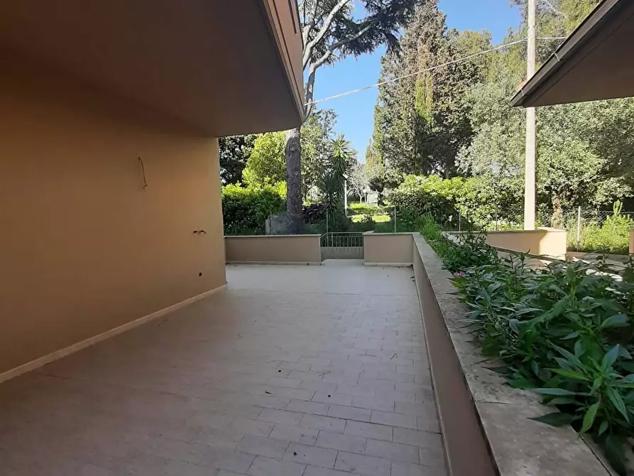 Immagine 10 di Appartamento in vendita  in località Cotone 10 a Rosignano Marittimo