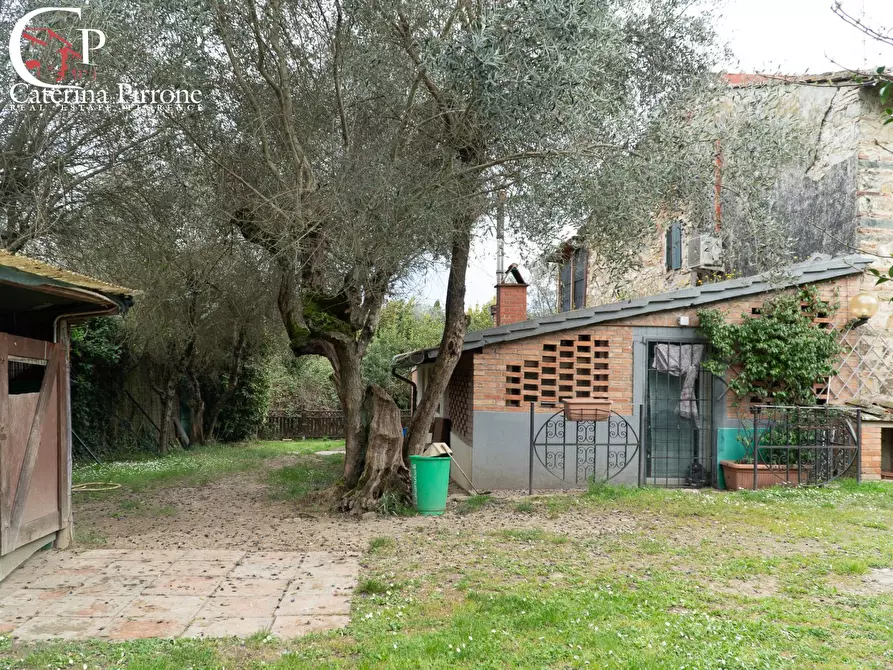 Immagine 11 di Rustico / casale in vendita  in via della Montagnola 190 a Greve In Chianti