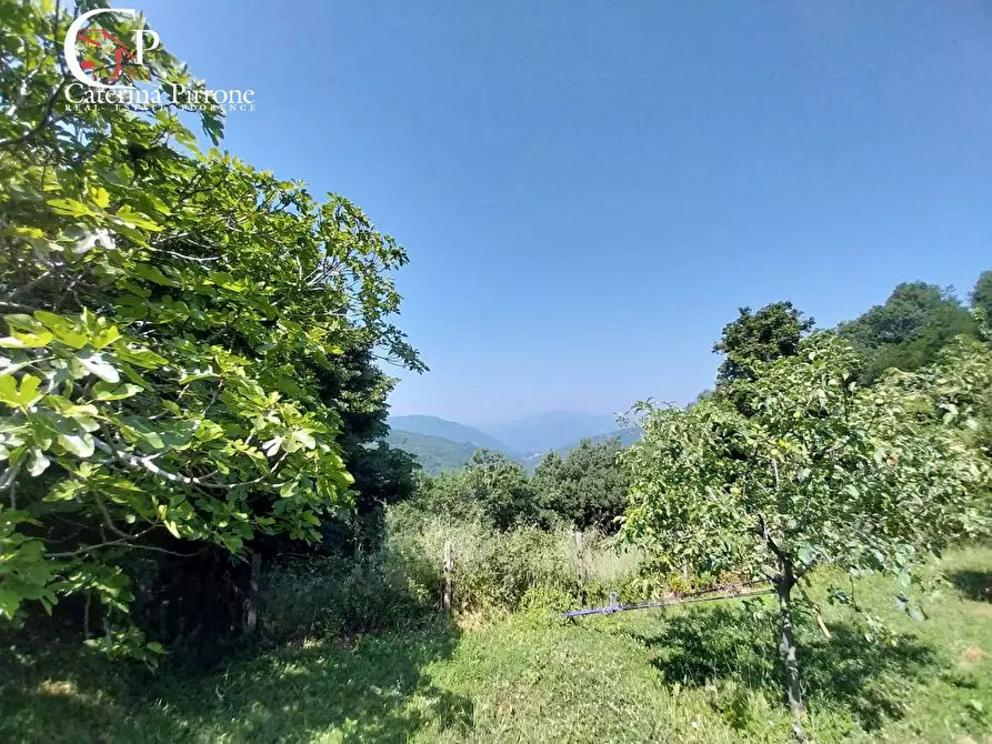 Immagine 4 di Rustico / casale in vendita  in via Rincine 19 a Londa