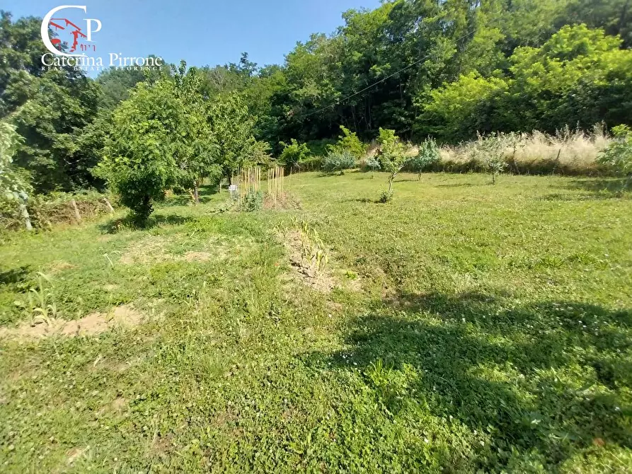 Immagine 5 di Rustico / casale in vendita  in via Rincine 19 a Londa