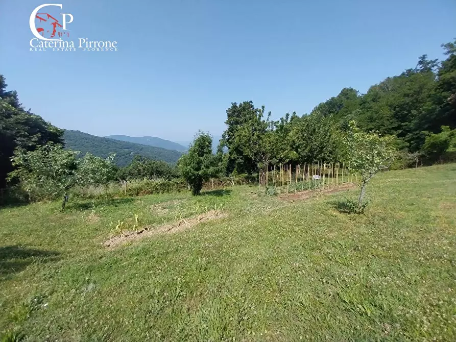 Immagine 7 di Rustico / casale in vendita  in via Rincine 19 a Londa