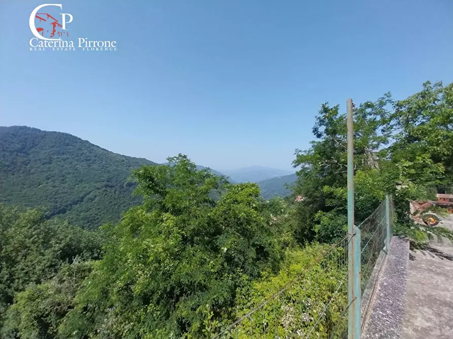 Immagine 8 di Rustico / casale in vendita  in via Rincine 19 a Londa