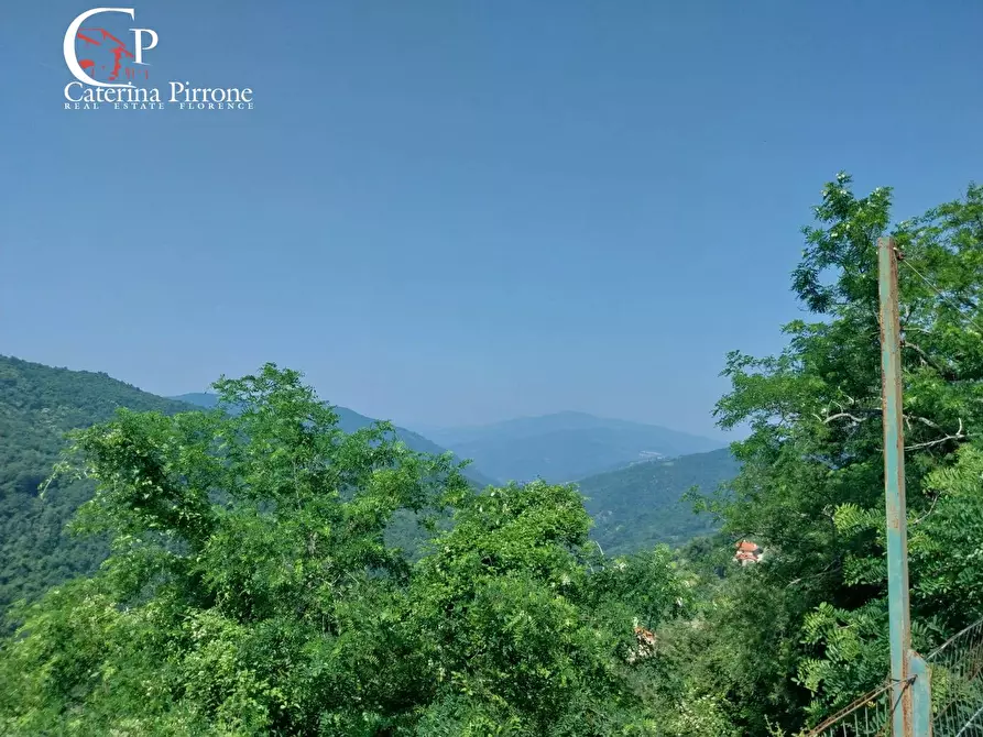 Immagine 9 di Rustico / casale in vendita  in via Rincine 19 a Londa