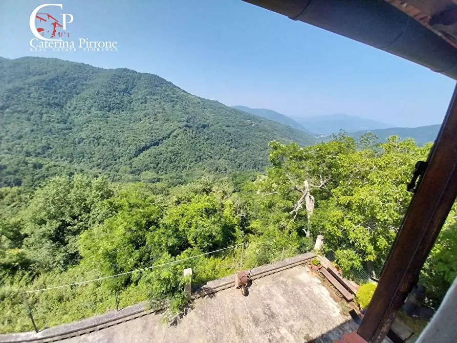 Immagine 10 di Rustico / casale in vendita  in via Rincine 19 a Londa