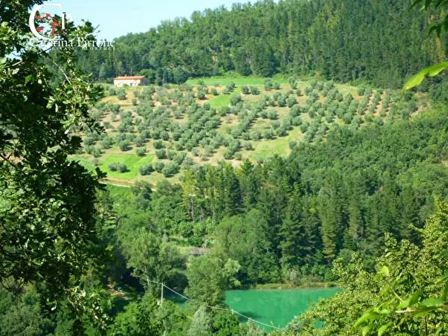 Immagine 40 di Villa in vendita  in via Ampinana 10 a Vicchio