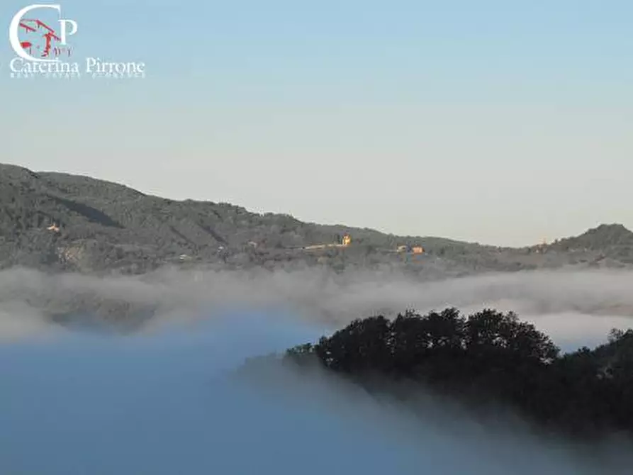 Immagine 47 di Villa in vendita  in via Ampinana 10 a Vicchio