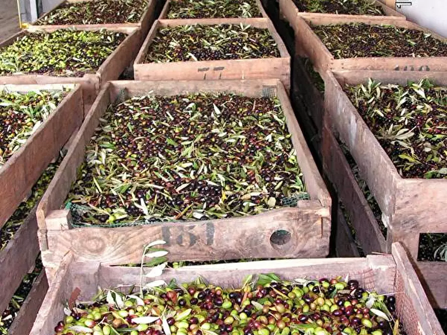 Immagine 49 di Villa in vendita  in via Ampinana 10 a Vicchio