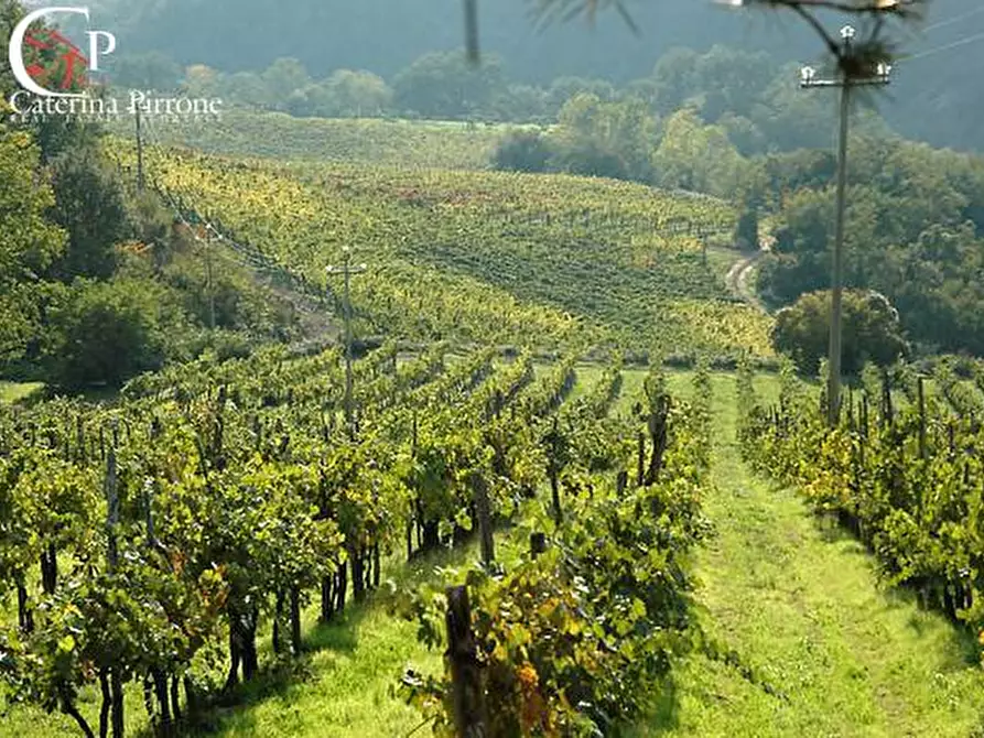 Immagine 60 di Villa in vendita  in via Ampinana 10 a Vicchio