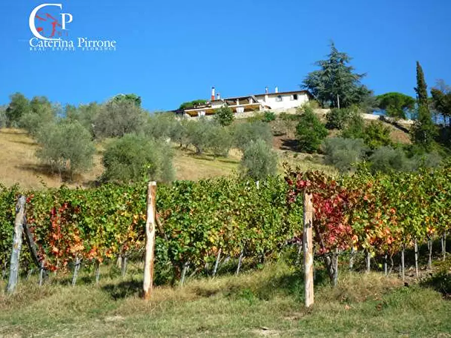 Immagine 61 di Villa in vendita  in via Ampinana 10 a Vicchio
