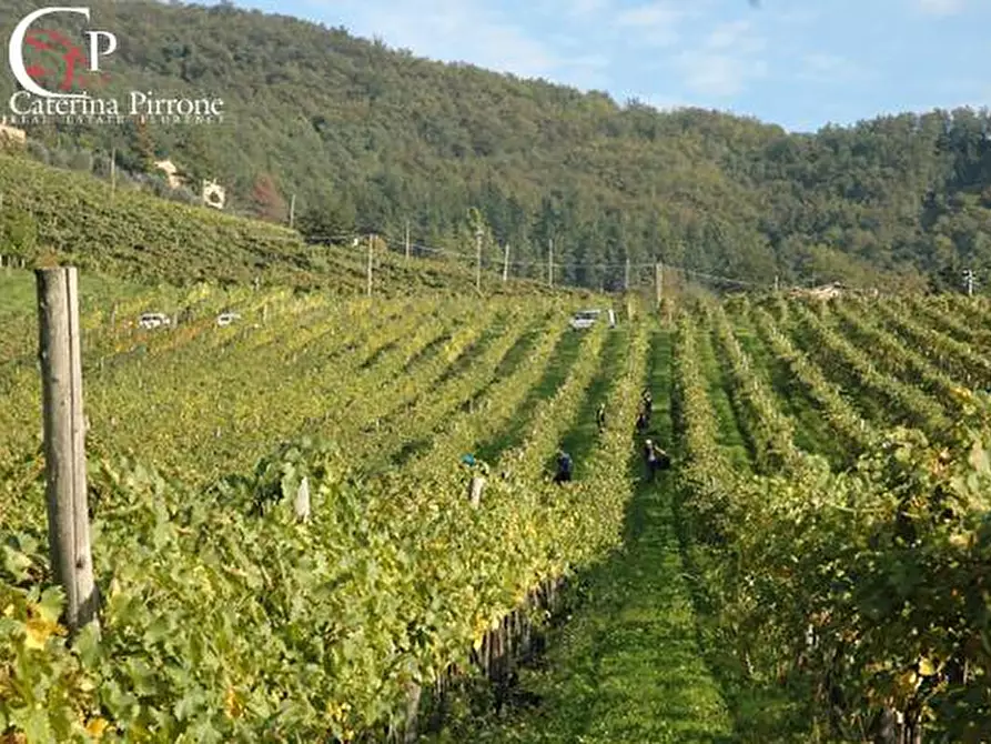 Immagine 62 di Villa in vendita  in via Ampinana 10 a Vicchio