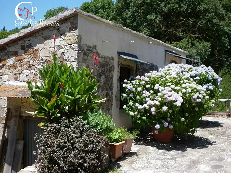 Immagine 14 di Rustico / casale in vendita  in via di Valle a Pontassieve