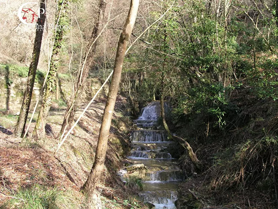 Immagine 28 di Rustico / casale in vendita  in via di Valle a Pontassieve
