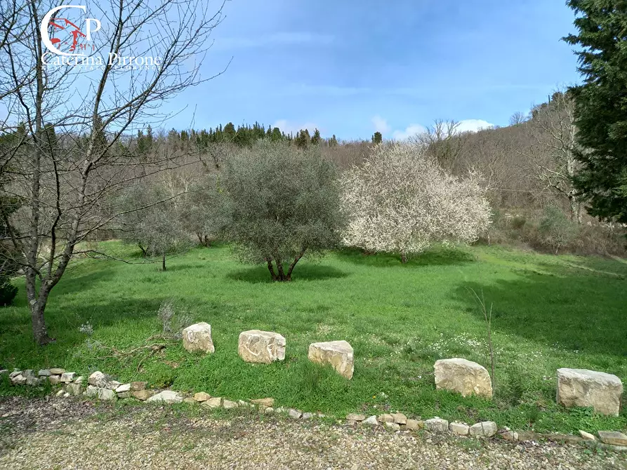 Immagine 26 di Rustico / casale in vendita  in via di Valle a Pontassieve