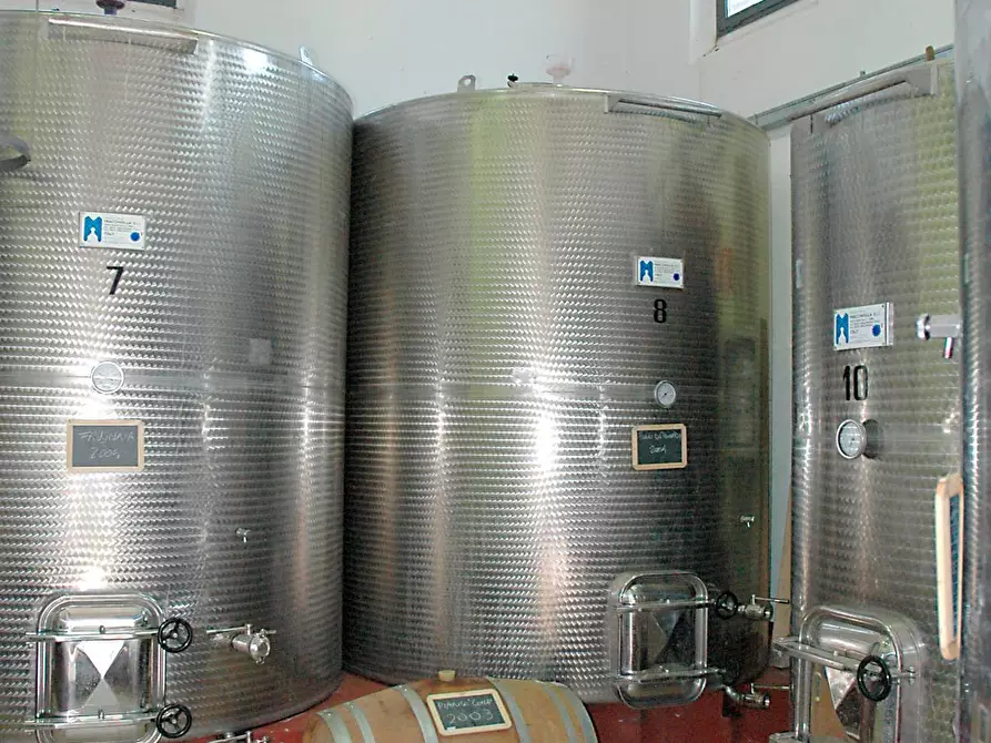 Immagine 3 di Terreno agricolo in vendita  in via Ampinana 10 a Vicchio