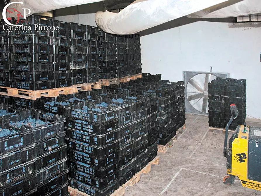 Immagine 4 di Terreno agricolo in vendita  in via Ampinana 10 a Vicchio