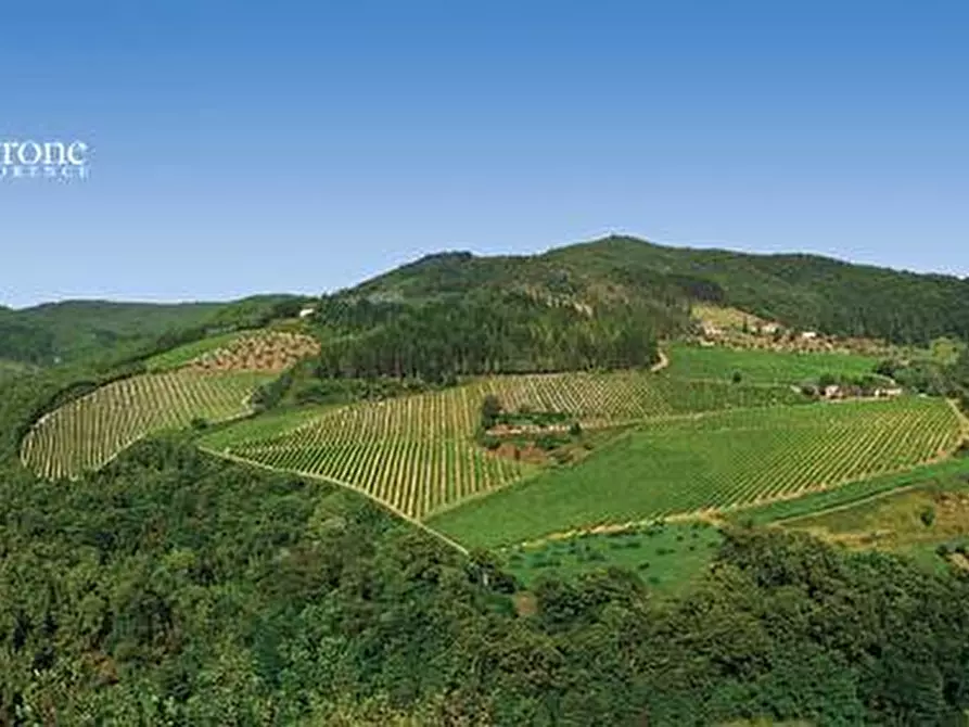 Immagine 10 di Terreno agricolo in vendita  in via Ampinana 10 a Vicchio