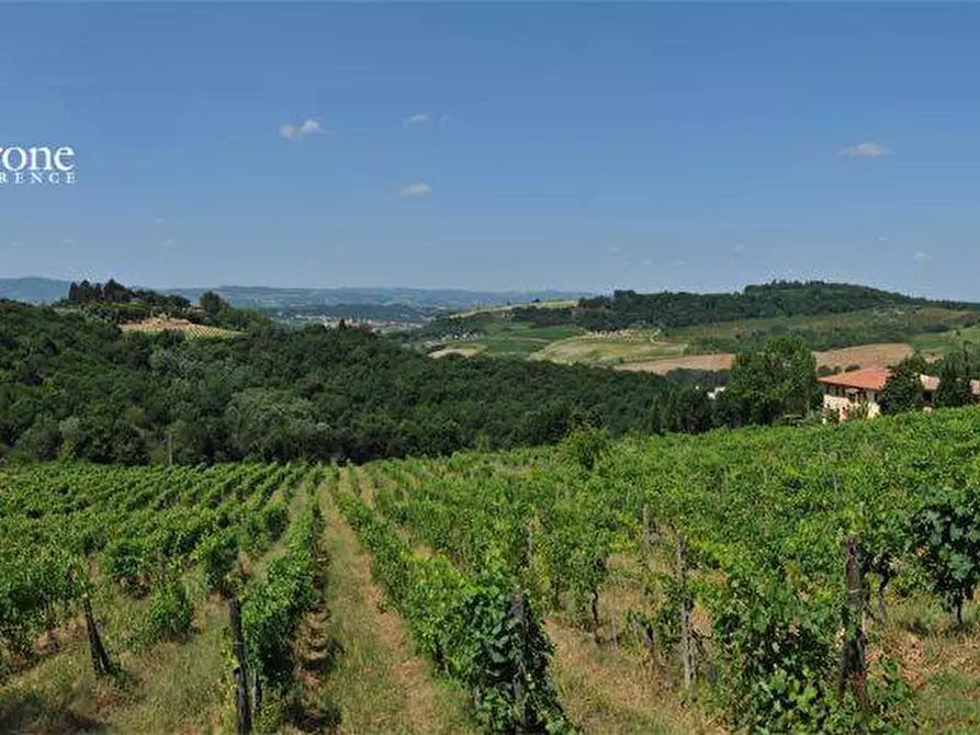 Immagine 9 di Terreno agricolo in vendita  in via Ampinana 10 a Vicchio