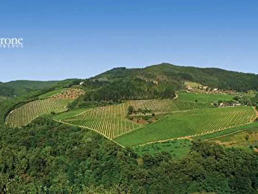 Immagine 31 di Villa in vendita  in via Ampinana 10 a Vicchio