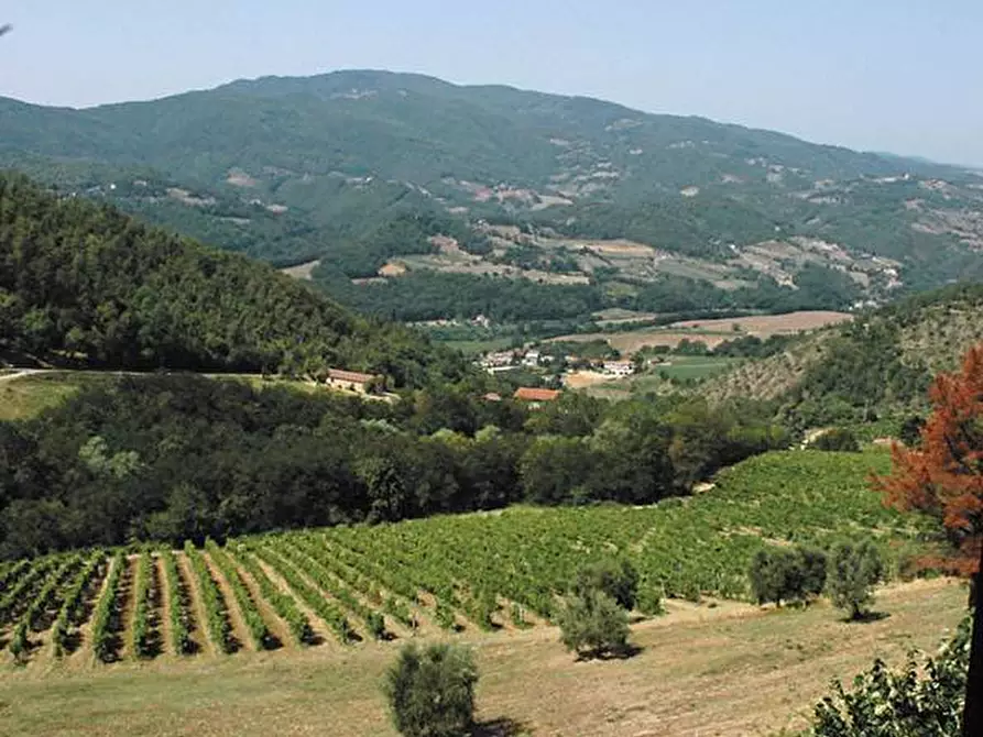 Immagine 32 di Villa in vendita  in via Ampinana 10 a Vicchio