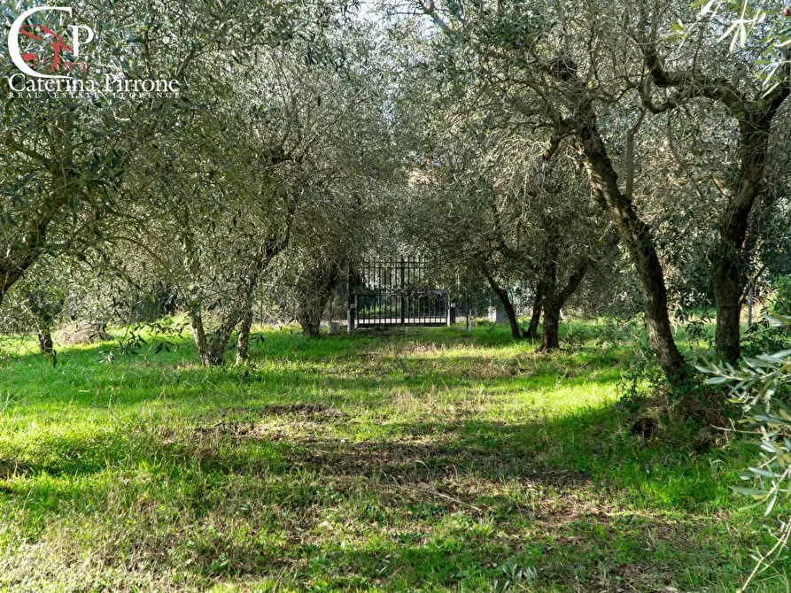 Immagine 3 di Rustico / casale in vendita  in Via della Martellina 10 a Fiesole