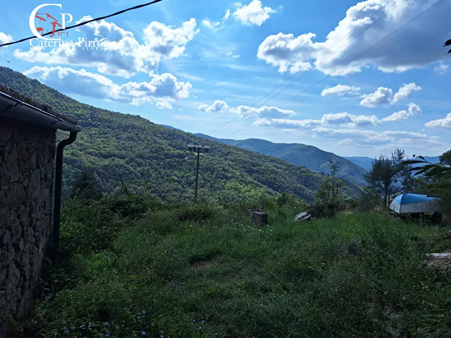 Immagine 52 di Rustico / casale in vendita  in via del Masso 2 a Londa