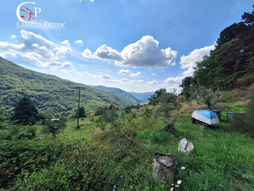 Immagine 54 di Rustico / casale in vendita  in via del Masso 2 a Londa