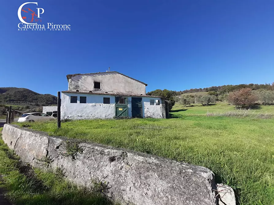 Immagine 3 di Rustico / casale in vendita  in via di San Michele 20 a Casale Marittimo