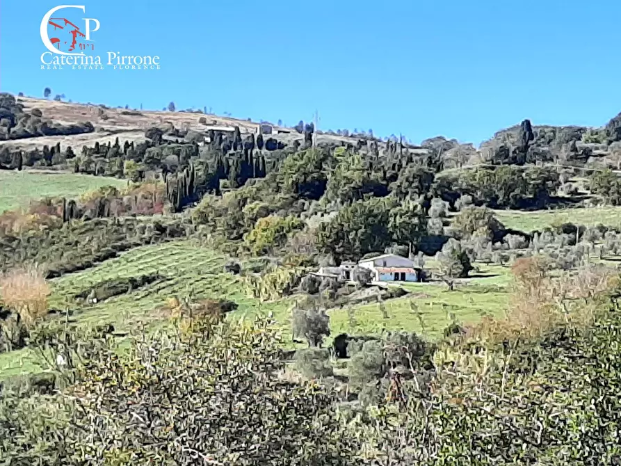 Immagine 9 di Rustico / casale in vendita  in via di San Michele 20 a Casale Marittimo