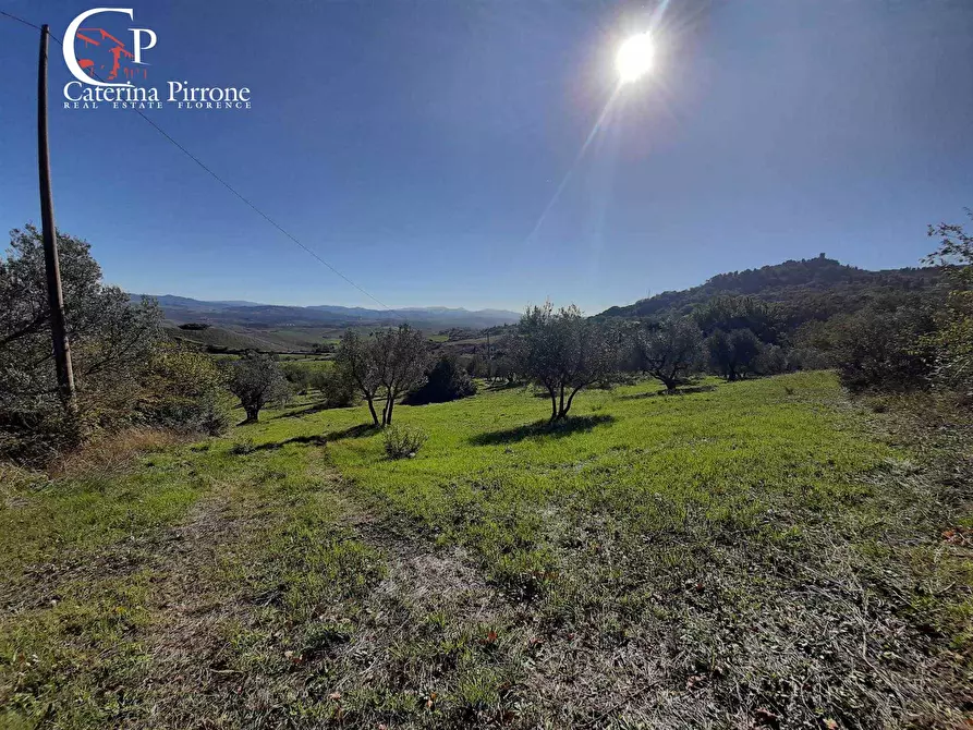 Immagine 8 di Rustico / casale in vendita  in via di San Michele 20 a Casale Marittimo