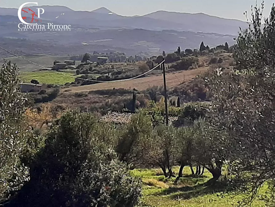 Immagine 11 di Rustico / casale in vendita  in via di San Michele 20 a Casale Marittimo