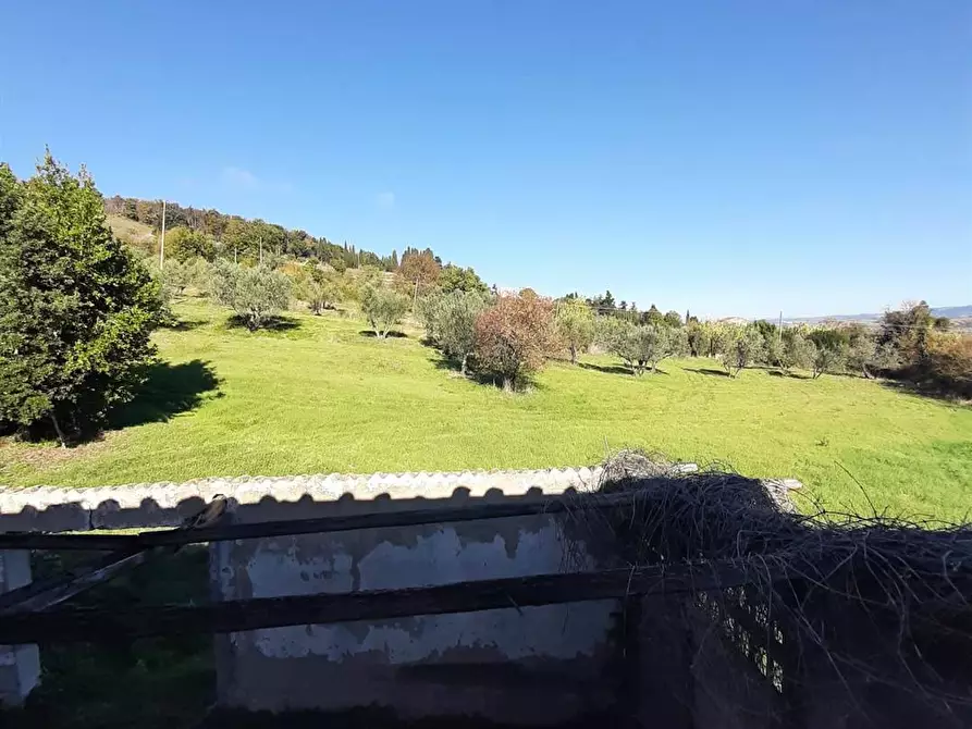 Immagine 39 di Rustico / casale in vendita  in via di San Michele 20 a Casale Marittimo