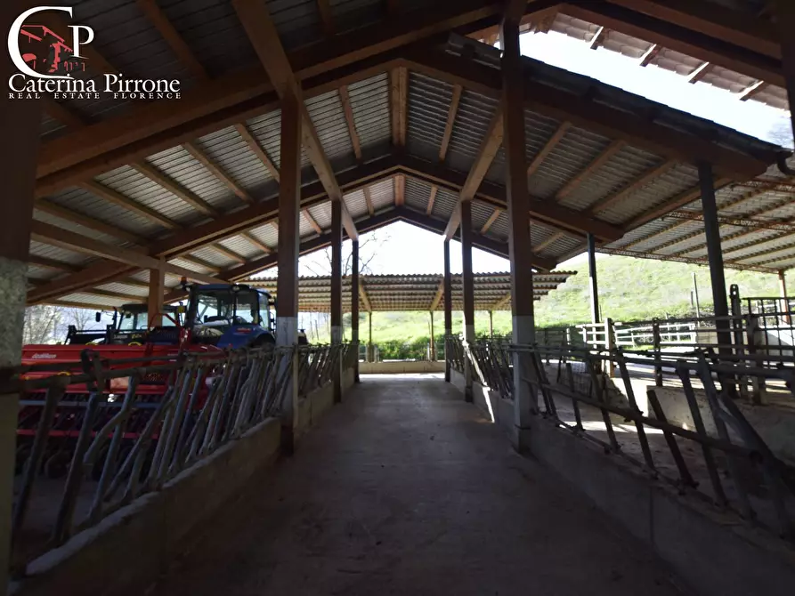 Immagine 55 di Rustico / casale in vendita  in località Rimaggio 10 a Dicomano