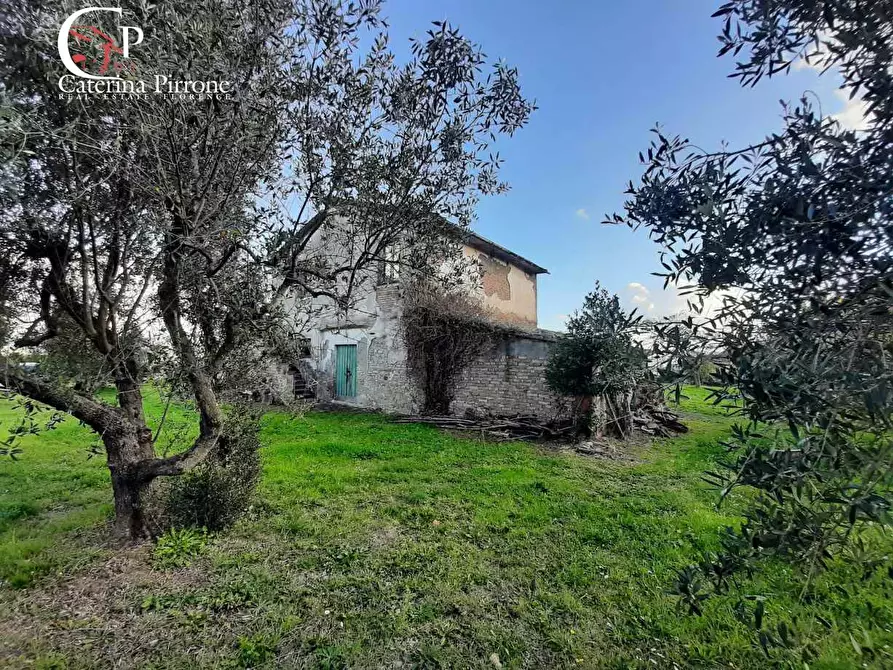 Immagine 11 di Rustico / casale in vendita  in Piazza XXV Aprile 1 a Casale Marittimo